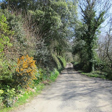 Higher Coombe Bovey Tracey Eksteriør billede