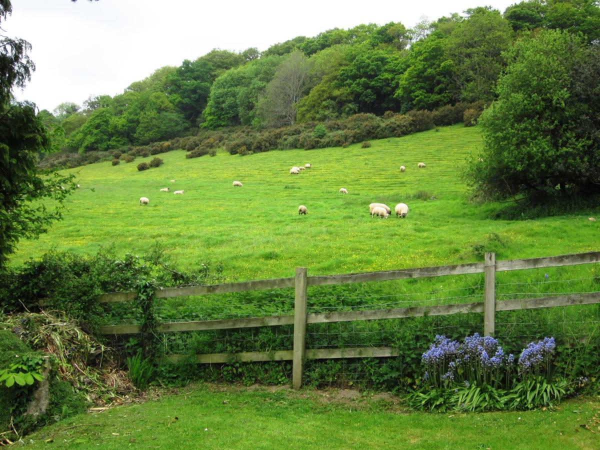 Higher Coombe Bovey Tracey Eksteriør billede